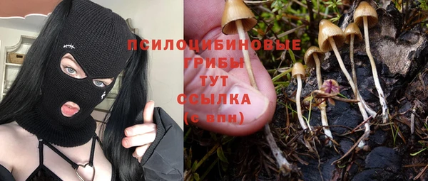 марки lsd Абаза