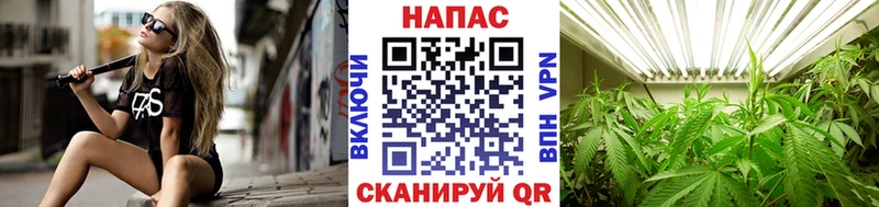 Бошки марихуана SATIVA & INDICA  где купить   Бугуруслан 